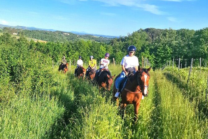 Adventure on horseback in the Tuscan countryside - What the farm setting adds