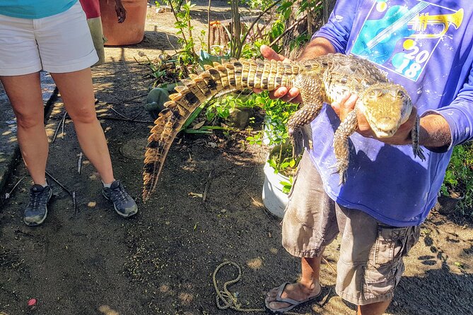 Afro-Mex Village Experience -Horseback Ride -Turtle Hatch & Crocs - Key points to know before booking