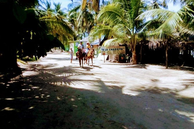 Afro-Mex Village Experience -Horseback Ride -Turtle Hatch & Crocs - Three Acapulco experiences in one short outing