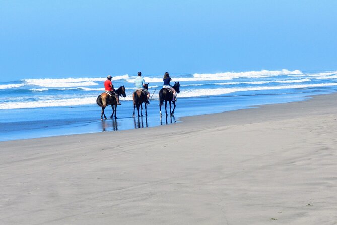 Afro-Mex Village Experience -Horseback Ride -Turtle Hatch & Crocs - Meeting crocodiles at a new farm