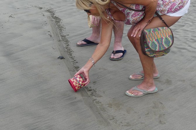 Afro-Mex Village Experience -Horseback Ride -Turtle Hatch & Crocs - Why the pickup service matters in Acapulco