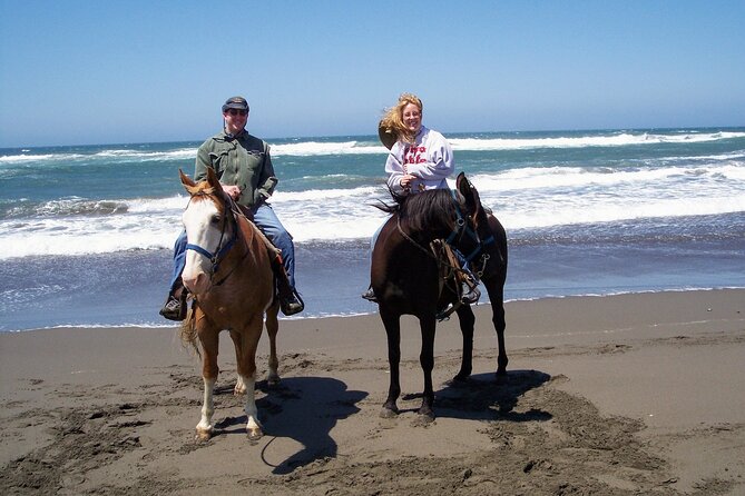 Afro-Mex Village Experience -Horseback Ride -Turtle Hatch & Crocs - What the $120.99 price really covers
