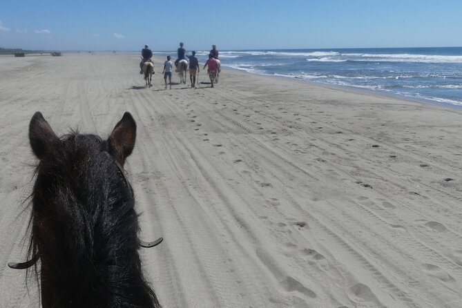Afro-Mex Village Experience -Horseback Ride -Turtle Hatch & Crocs - Rain, weather, and the need for a flexible plan