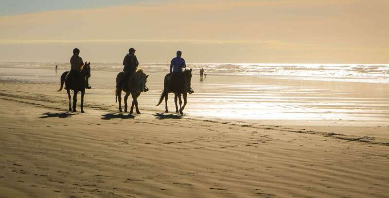 <em>Afro-Mex Village Horse Ride, Turtle Release Crocodile Farm – Key points at a glance’ /></p>
<ul>
<li><strong>Baby turtle release:</strong> Help place hatchlings on the beach after learning why sea turtles are at risk.</li>
<li><strong>Rescued horses:</strong> Start with basic riding instruction, then take a relaxed ride near the Pacific.</li>
<li><strong>Crocodile farm visit:</strong> Finish at a newly opened farm for a different look at local wildlife.</li>
<li><strong>Small-group format:</strong> The group is limited to 10 people, which leaves more room for questions.</li>
<li><strong>Simple logistics:</strong> Air-conditioned transport, bottled water, and hotel or port pickup are included.</li>
<li><strong>Flexible timing:</strong> The outing lasts about 3.5 to 5.5 hours, depending on the schedule and stops.</li>
</ul>
<h2>Why the turtle release comes first</h2>
<p><img width="800" height="600" decoding="async" src=