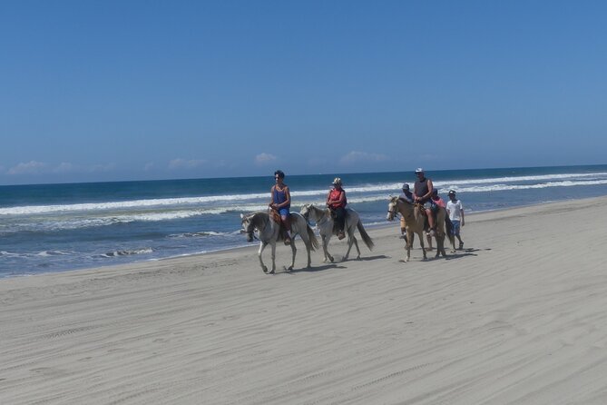 Afro-Mexican Village: Horseback Beach Ride, Crocs & Cliff Diver - Key points to know before booking