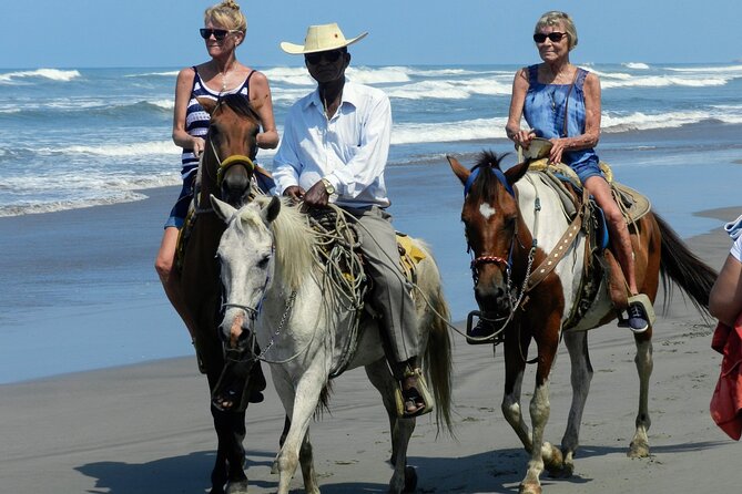 Afro-Mexican Village: Horseback Beach Ride, Crocs & Cliff Diver - Is $115.99 a fair price?