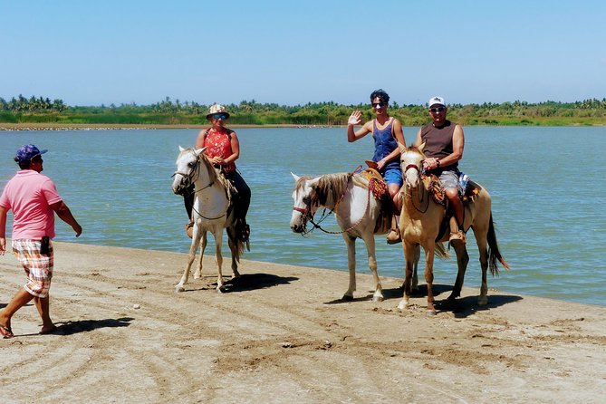 Afro-Mexican Village: Horseback Beach Ride, Crocs & Cliff Diver - Who should book this experience?