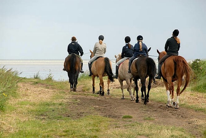 Agadir 2-Hour Horse Riding Experience with Pickup - The sunset payoff