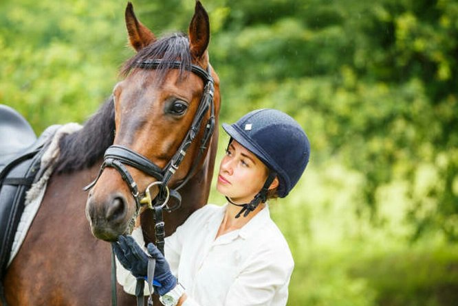 Agadir 2-Hour Horse Riding Experience with Pickup - Guide support and the private format