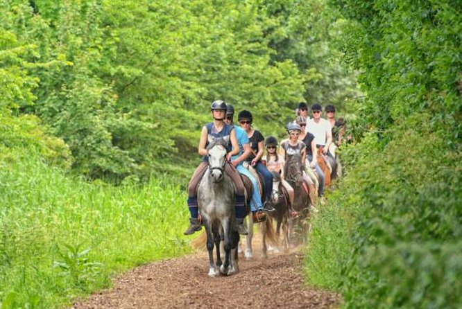 Agadir 2-Hour Horse Riding Experience with Pickup - Who should book this ride?