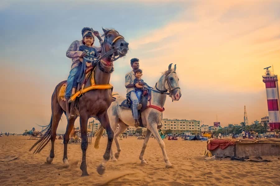 Agadir 2hours Horse Riding visite the flamingo river - What the Agadir horse ride is really like