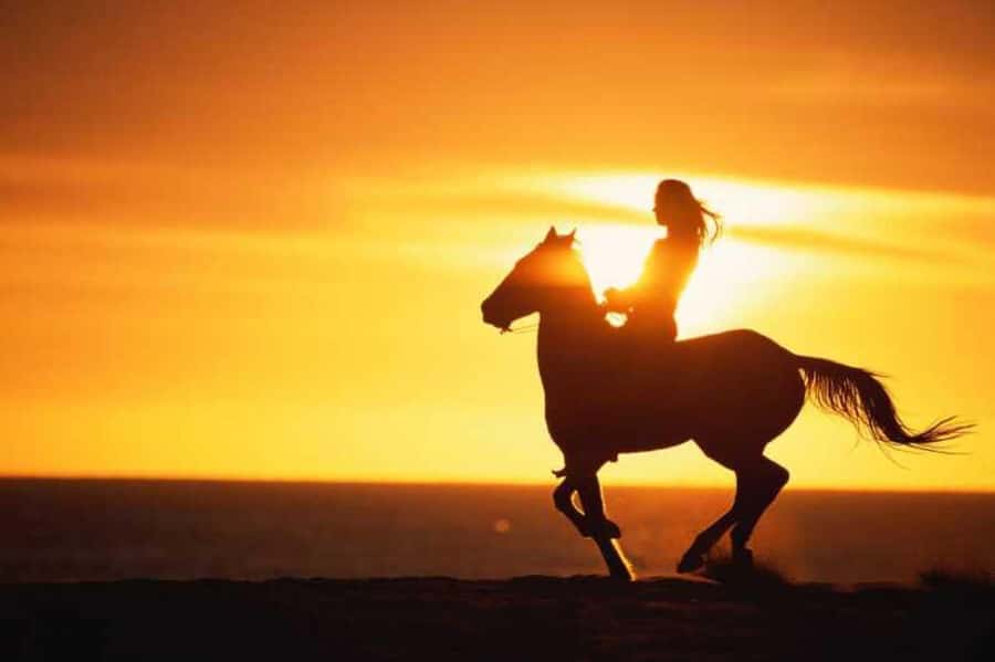 Agadir and Taghazout: 2-Hour Horseback Ride on the Beach - A Beach Ride That Works for Beginners