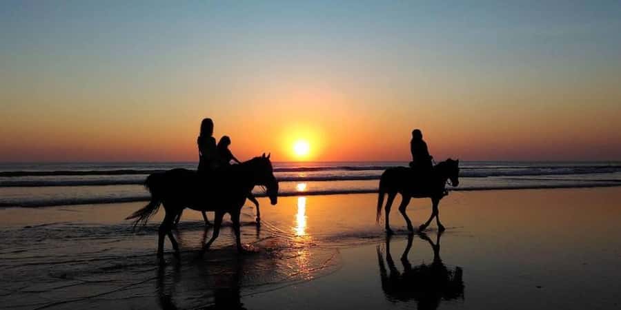 Agadir and Taghazout: 2-Hour Horseback Ride on the Beach - Practical Details Before You Go