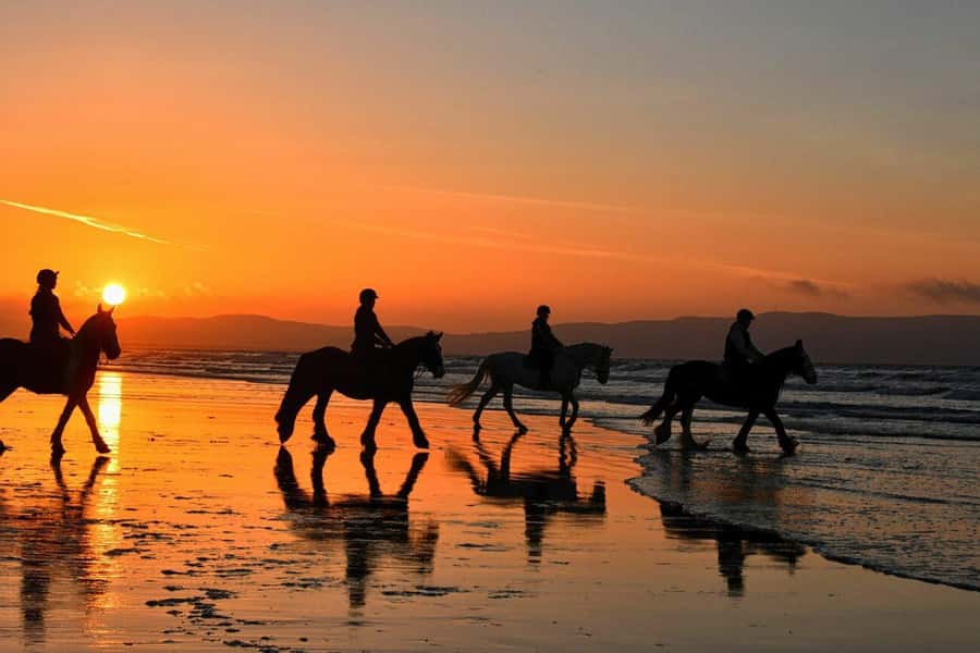 Agadir and Taghazout: 2-Hour Horseback Ride on the Beach - From Hotel Door to Ouriir Beach