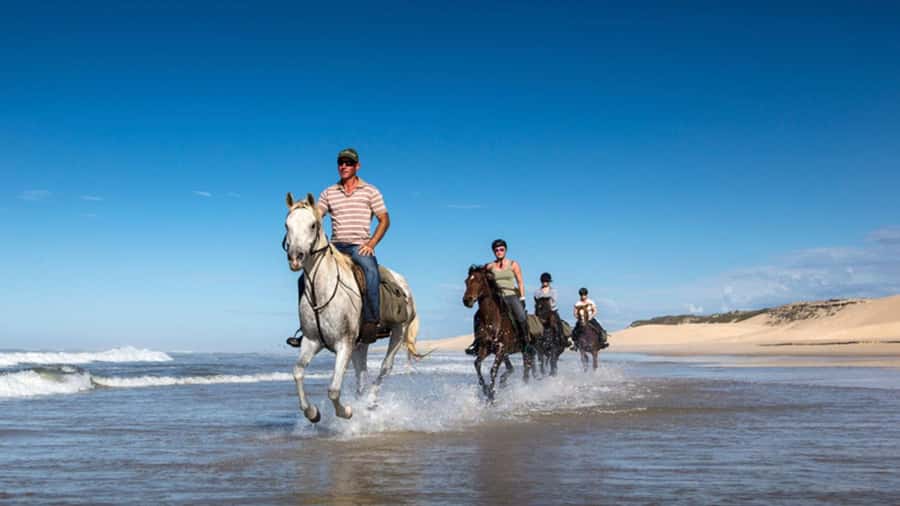 Agadir and Taghazout: 2-Hour Horseback Ride on the Beach - How the Guides Handle Mixed Experience