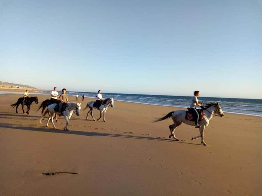 Agadir and Taghazout: 2-Hour Horseback Ride on the Beach - Horses, Tack, and the Ranch Setting