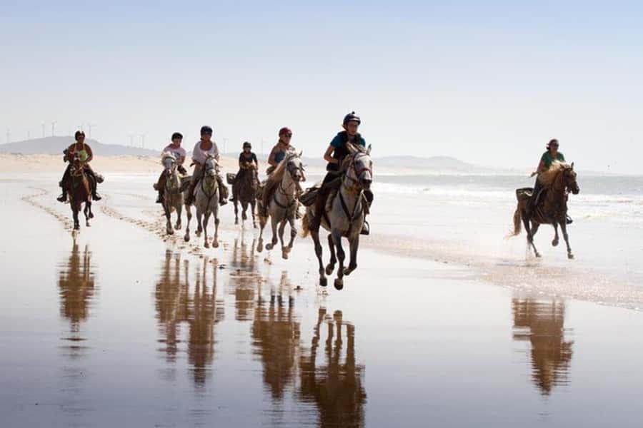 Agadir and Taghazout: 2-Hour Horseback Ride on the Beach - Photos, Videos, and the Best Place to Stop