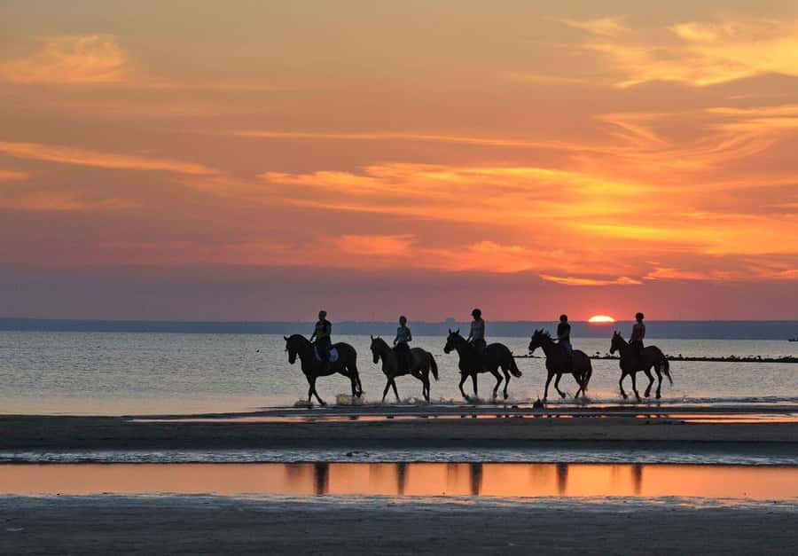 Agadir and Taghazout: 2-Hour Horseback Ride on the Beach - Is $176 a Fair Price?