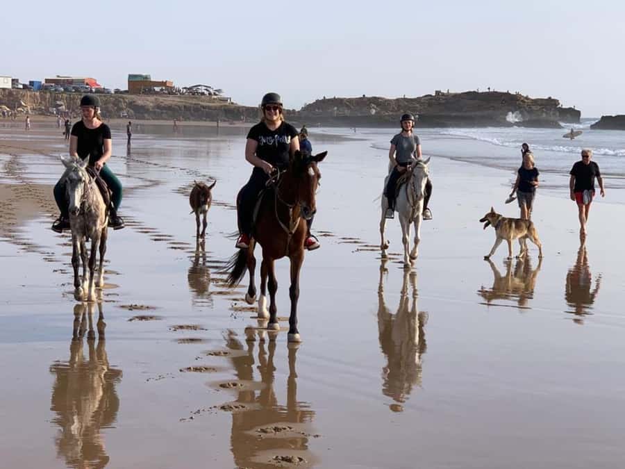 Agadir and Taghazout: 2-Hour Horseback Ride on the Beach - Who Should Book This Ride?