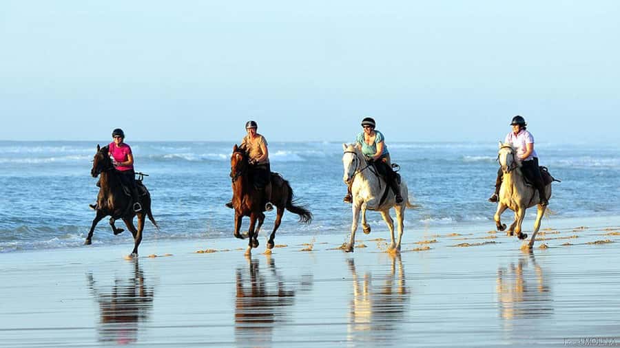 Riders cantering along wet sand on the Atlantic coast of Morocco