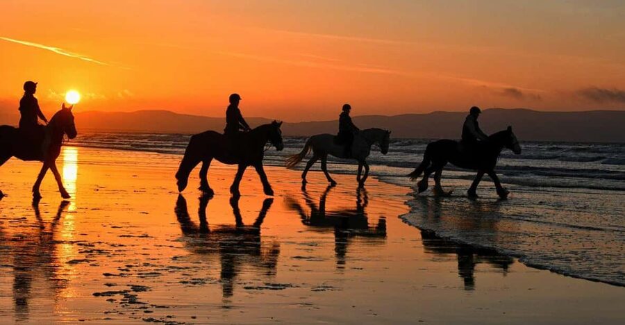 Agadir and Taghazout: Morning Horse Ride on The Beach - Should you book the Agadir or Taghazout ride?