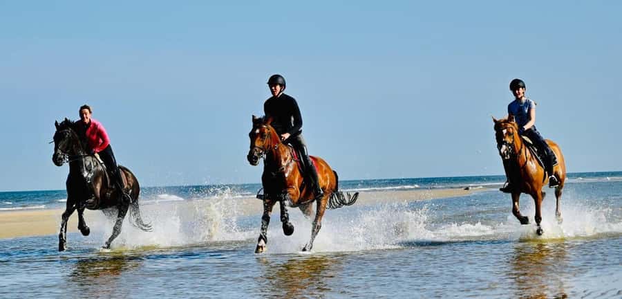 Agadir and Taghazout: Morning Horse Ride on The Beach - Is $45 good value?