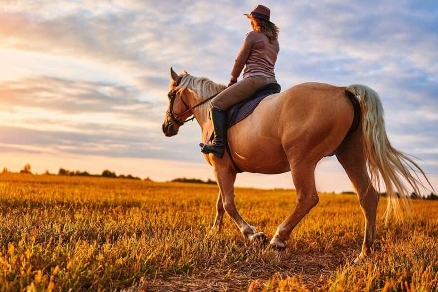 Agadir: Forest and Sand Dunes Guided Horse Riding - Key points to know before booking