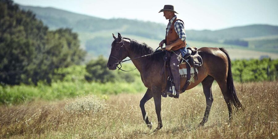 Agadir: Forest and Sand Dunes Guided Horse Riding - Riding from Agadir into the eucalyptus forest