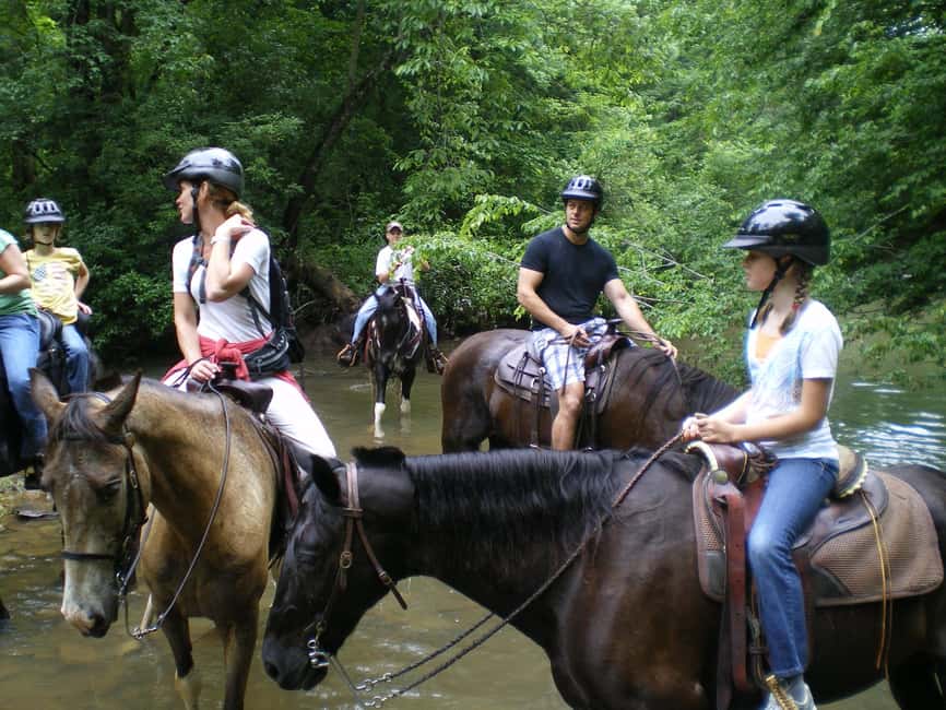 Agadir: Forest and Sand Dunes Guided Horse Riding - Is $23 good value for this Agadir outing?