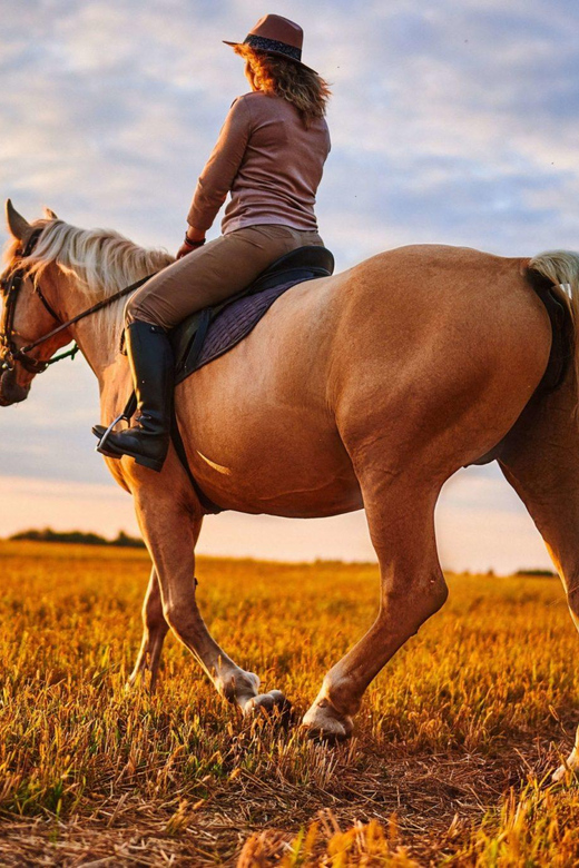 Agadir: Forest and Sand Dunes Guided Horse Riding - Who should book this horse ride?