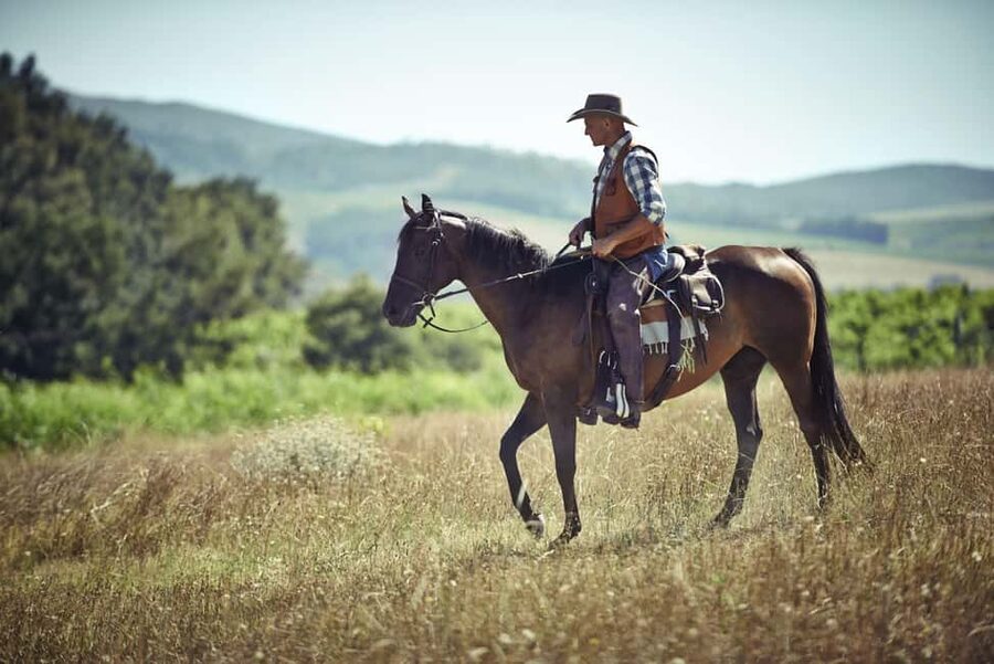 Agadir: Forest and Sand Dunes Guided Horse Riding - Along the beach and across the sand dunes