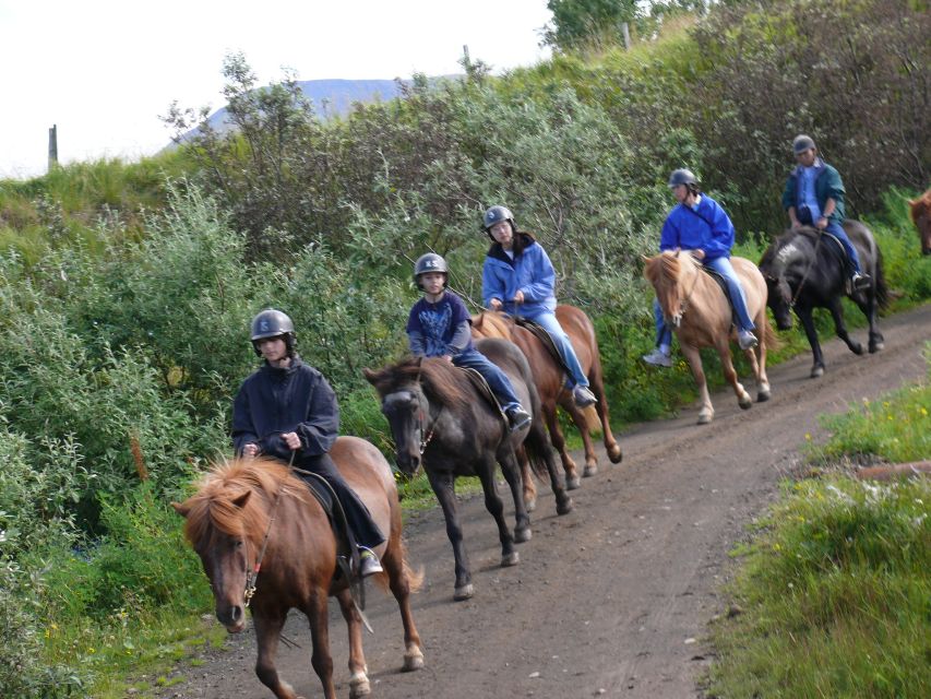 Agadir: Guided Horse Riding Along Flamingo River with Tea - Key points to know before booking