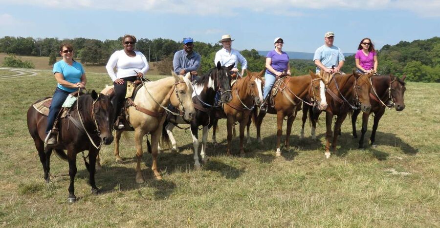 Agadir: Guided Horse Riding Along Flamingo River with Tea - Eucalyptus trees add shade and scent