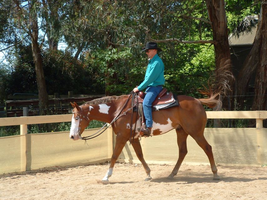 Agadir: Guided Horse Riding Along Flamingo River with Tea - Moroccan tea and biscuits close the ride well
