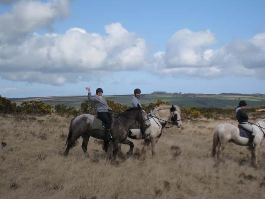 Agadir Horse Riding visite the flamingo river with tea drink - Two Hours Between Dunes, Forest, and River