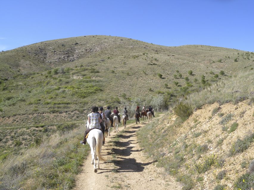 Agadir Horse Riding visite the flamingo river with tea drink - What $22 Really Gets You