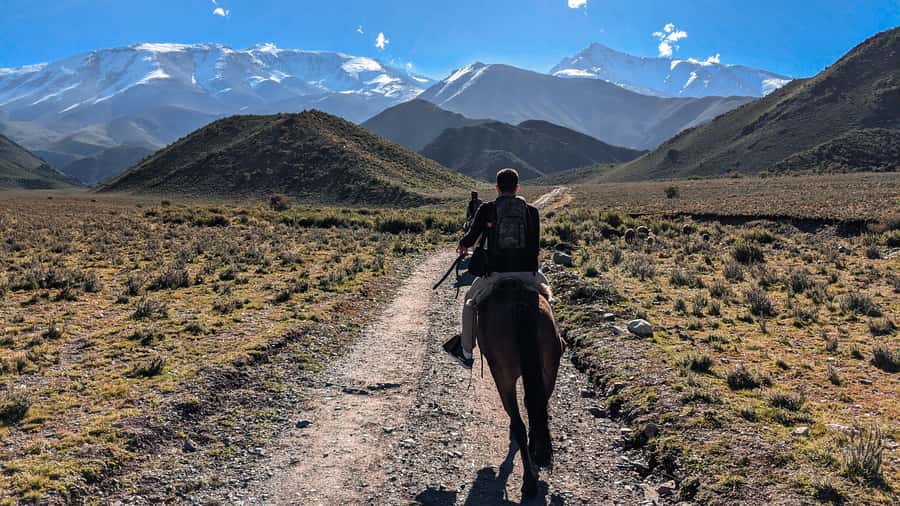 Agadir Horse Riding visite the flamingo river with tea drink - Booking, Cancellations, and Timing