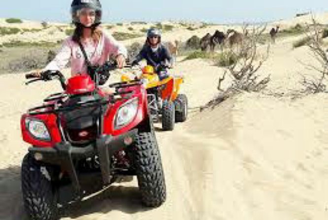 Agadir Quad Biking and Horse Riding with snacks - Is $89.05 good value?