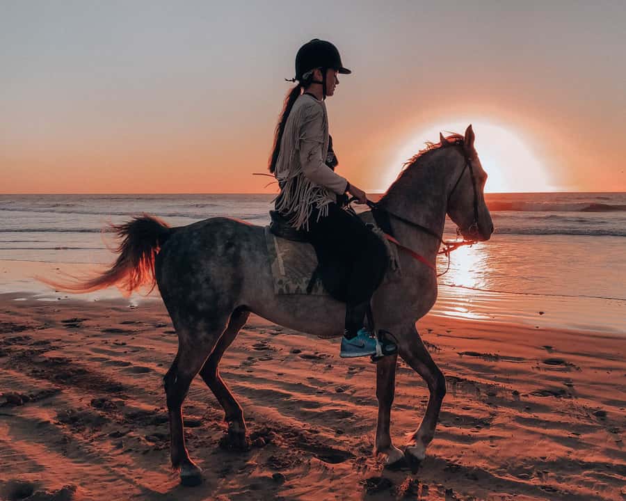 Agadir: Sunset Horse Riding Experience And Relaxing Massage - The beach scenery is the real outdoor reward