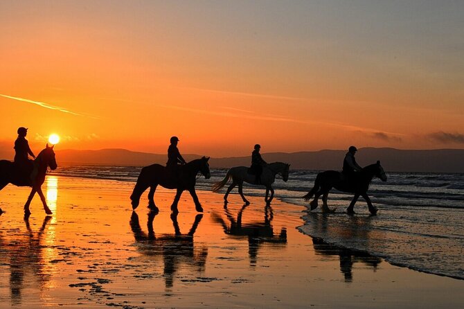 Agadir/Taghazout Horse Ride on the beach - From Agadir or Taghazout to a quiet horse ranch