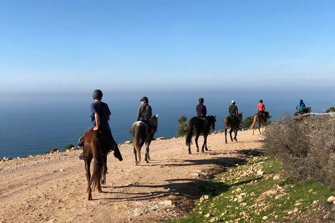Agadir/Taghazout Horse Ride on the beach - Horses, handling, and the level of care