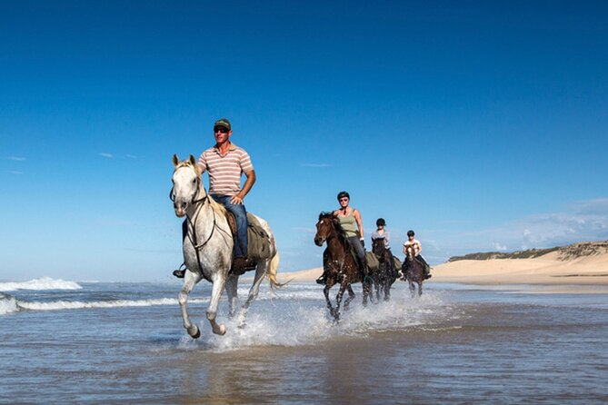 Agadir/Taghazout Horse Ride on the beach - Mint tea back at the ranch