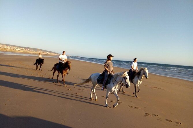 Agadir/Taghazout Horse Ride on the beach - Is $30.20 good value?