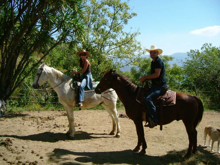 Agadir/Taghazout: Horse Rides Experience With Transfers - What this Agadir ride is really like