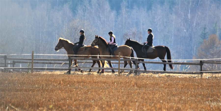 Agadir/Taghazout: Horse Rides Experience With Transfers - The river route and open countryside