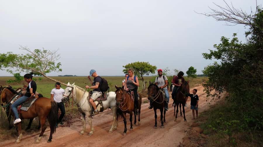 Agadir/Taghazout: Horse Rides Experience With Transfers - The guide style and language support