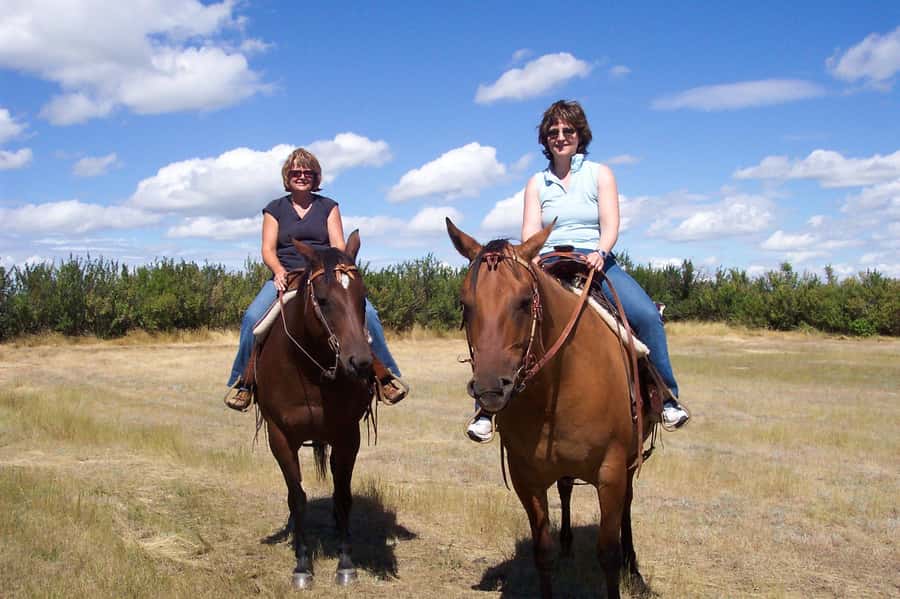 Agadir/Taghazout: Horse Rides Experience With Transfers - Photo stops and the best views