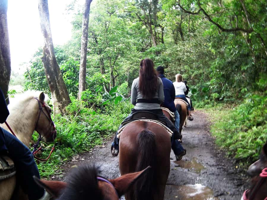 Agadir/Taghazout: Horse Rides Experience With Transfers - The pickup from Agadir or Taghazout