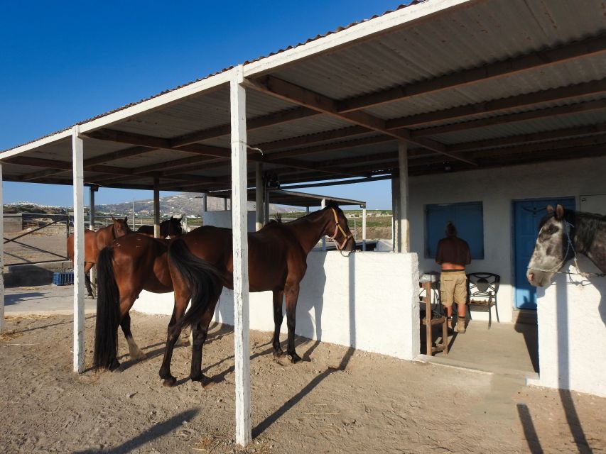 Akrotiri: Guided Horseback Riding Day Trip to a Beach - Why the small group matters