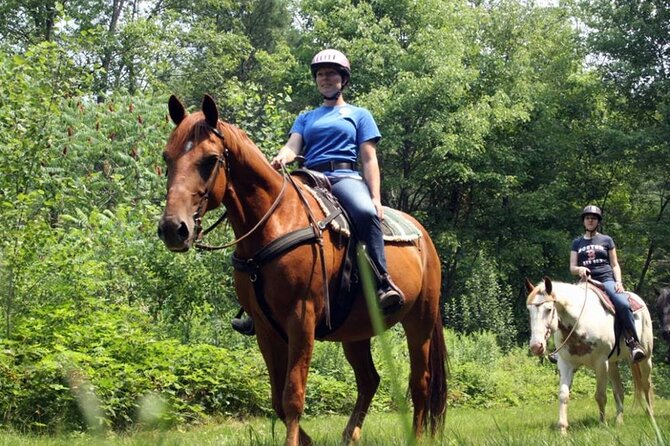 Alanya Horse Riding Experience With Free Hotel Transfer - Hotel pickup and group size